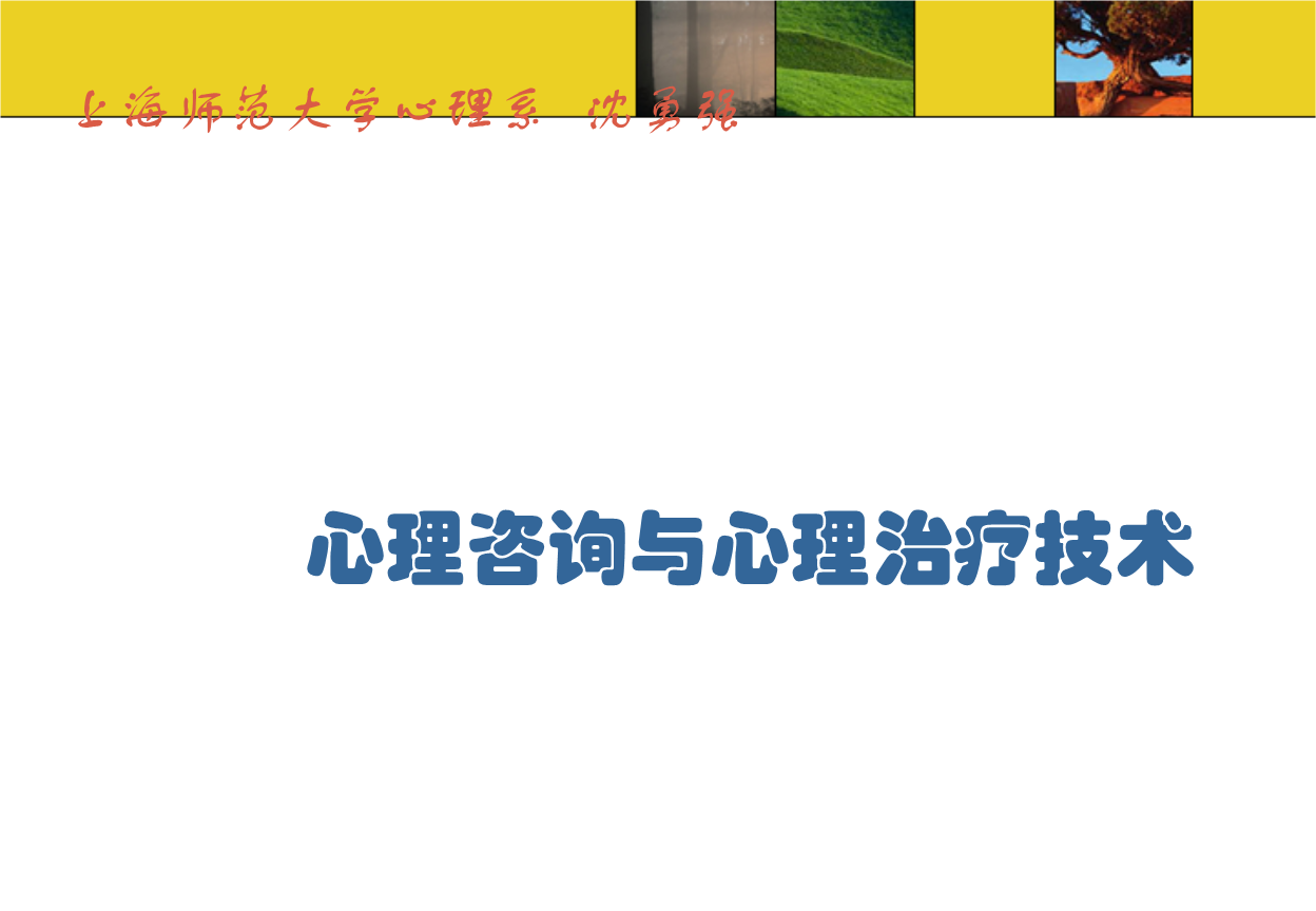 心理咨詢(xún)與心理治療技術(shù)上海師范大學(xué)心理系.ppt